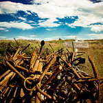 Near Peggy's Cove