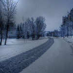 Along the Bow River