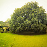 Cloisters, New College, Oxford